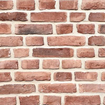 Diemensions Ligt Purple