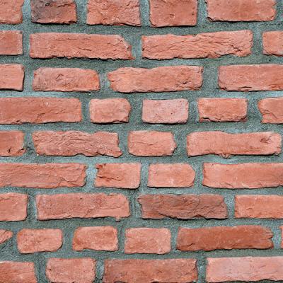 Diemensions Taangy Orange